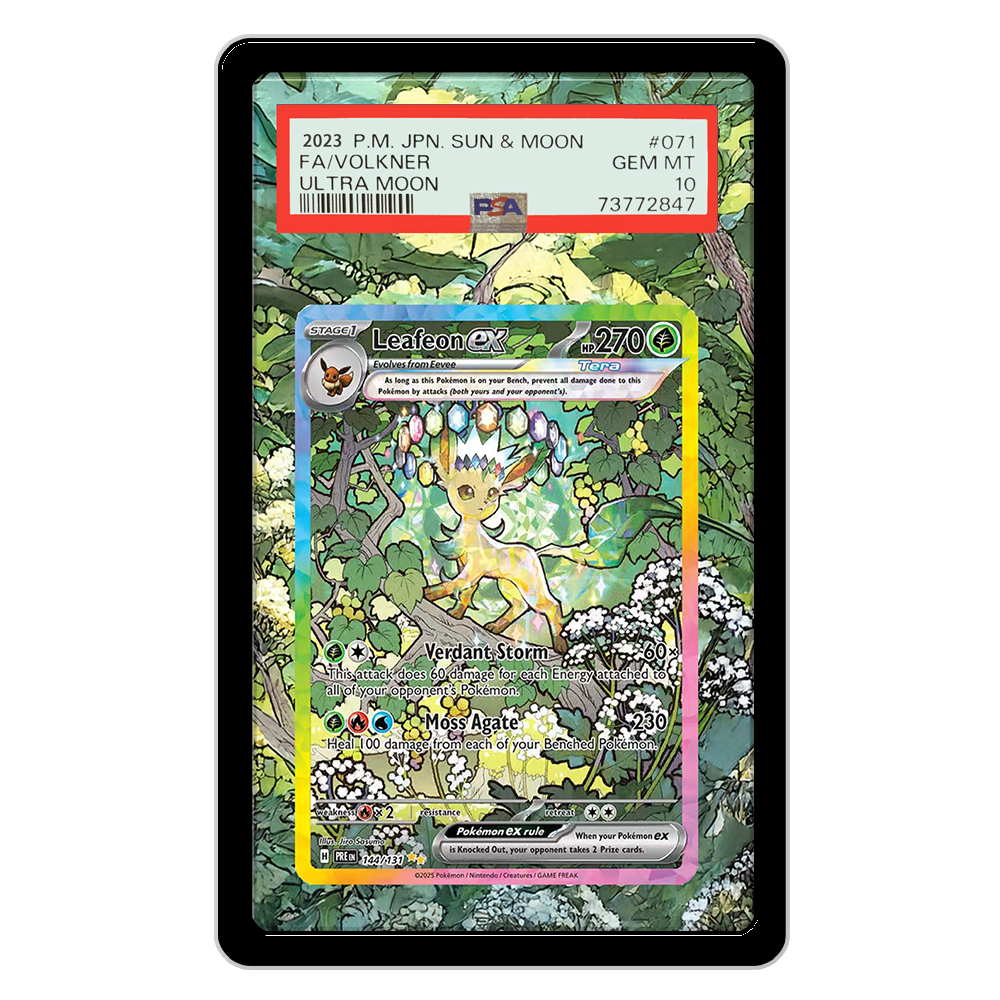 Pokemon Cards Display PTCG Lea - Display Case Acrylic avis et prix
